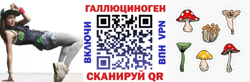 shop какой сайт Новая Усмань Псилоцибиновые грибы Psilocybe