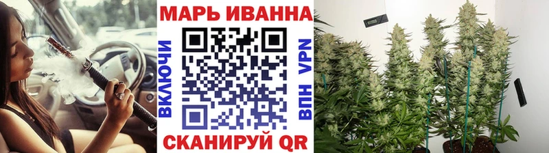 продажа наркотиков  mega как войти  Каннабис семена  Новая Усмань 
